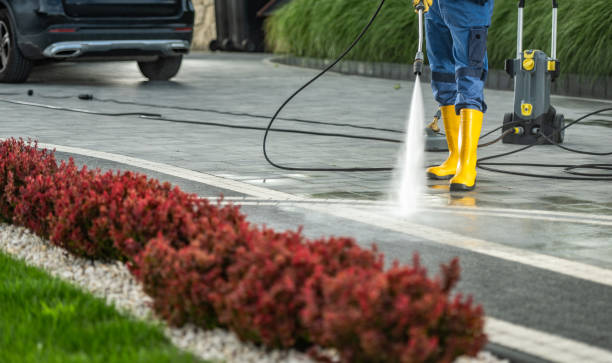 Best Graffiti Removal  in Auburn, IL